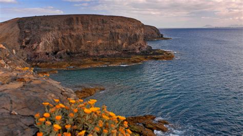 accidente playa blanca|British baby dies and family members injured in Lanzarote crash.